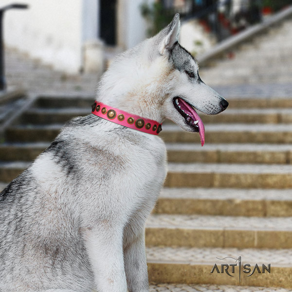 Siberian Husky stylish design embellished natural genuine leather dog collar