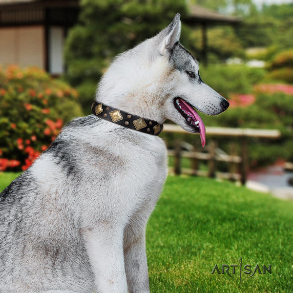 Siberian Husky stylish adorned full grain leather dog collar