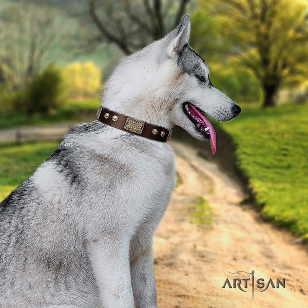 Siberian Husky exquisite adorned full grain leather dog collar