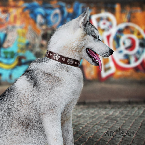 Siberian Husky impressive decorated natural genuine leather dog collar