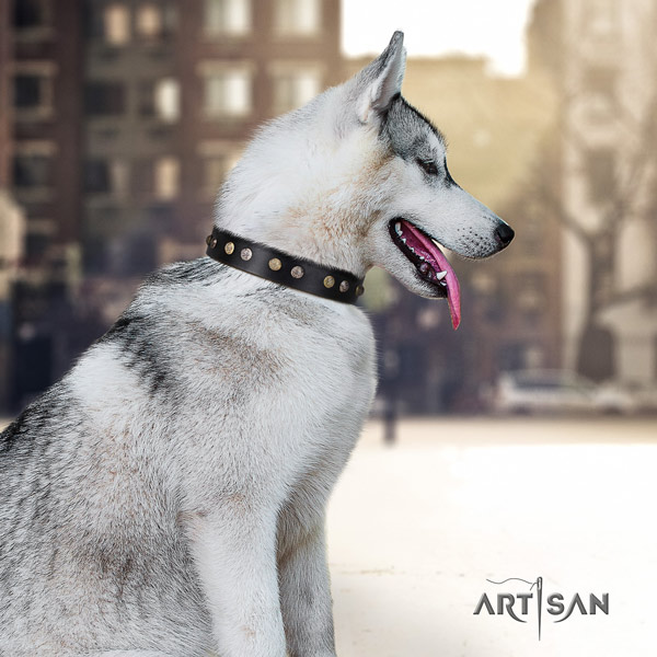 Siberian Husky trendy adorned natural genuine leather dog collar