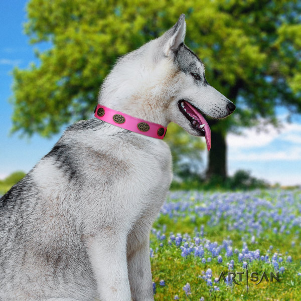 Siberian Husky significant adorned full grain natural leather dog collar