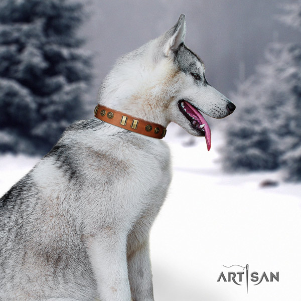 Siberian Husky trendy embellished natural leather dog collar for everyday walking