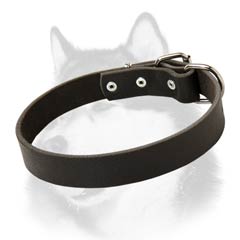 Siberian Husky dog collar with smooth conservative look
