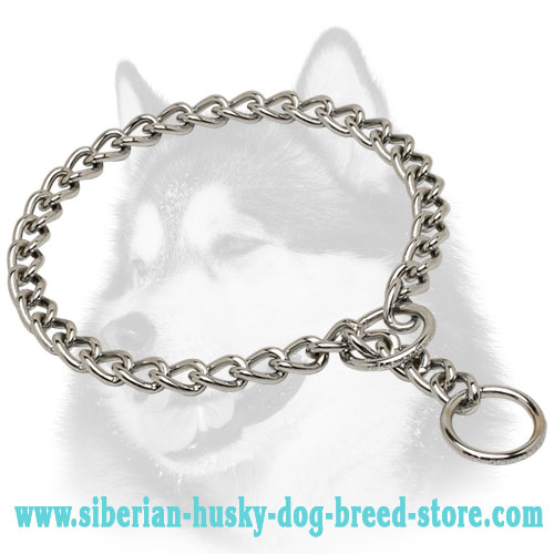 chain choke collar