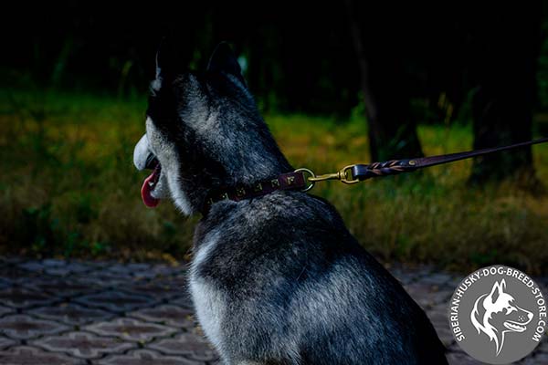 Siberian Husky brown leather collar of high quality with d-ring for leash attachment for daily walks