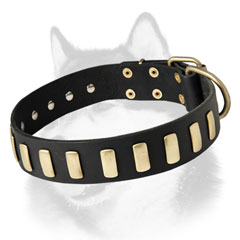 Siberian Husky leather dog collar training equipment