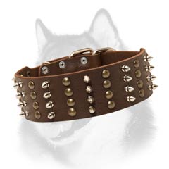 Siberian Husky leather dog collar with rust proof adornment