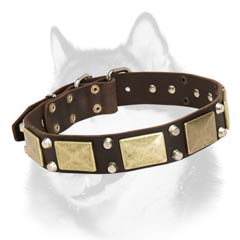 Siberian Husky leather dog collar with plates and cones
