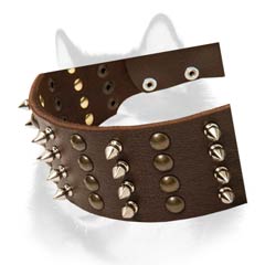 Siberian Husky leather dog collar with rust proof adornment