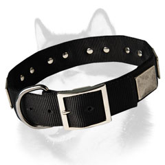 Siberian Husky nylon dog collar with antique adornment