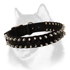 Siberian Husky nylon dog collar with spikes