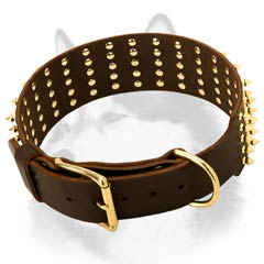 Siberian Husky leather dog collar with classical buckle closure