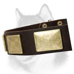 Vintage style collar for Siberian Husky