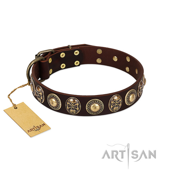Awesome full grain leather dog collar for stylish walking