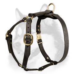 Adjustable leather harness for Husky