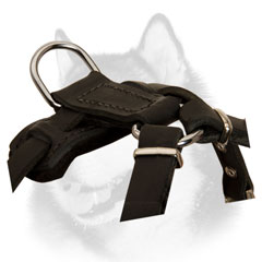 Padded back plate of puppy leather harness