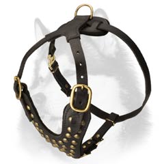 Best quality Siberian Husky harness