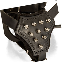 Spiked leather chest plate of puppy harness