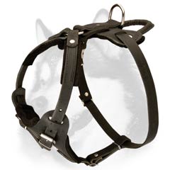 Felt padded leather dog harness for Siberian Husky training
