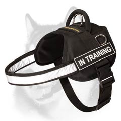 Siberian Husky nylon harness with handle