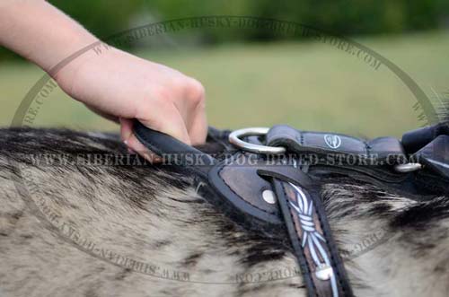 Leather dog harness with handle