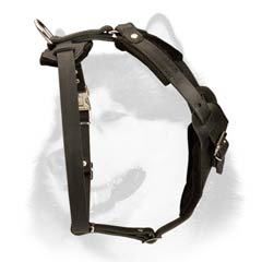 Padded neck straps harness for Siberian Husky