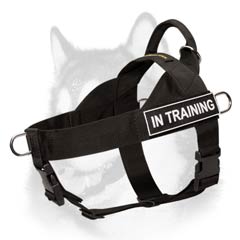 Pulling nylon harness for Siberian Husky