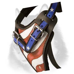 Siberian Husky harness american pride