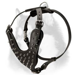 Siberian Husky harness with thick felt padding