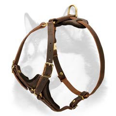 Adjustable Siberian Husky tracking harness