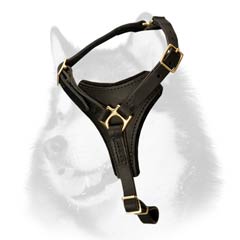 Siberian Husky leather dog harness with felt lining