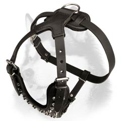 Siberian Husky harness with soft lining