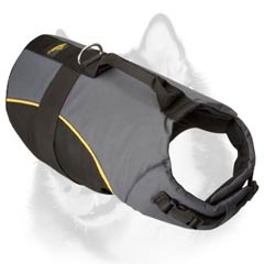 Siberian Husky nylon harness for walking