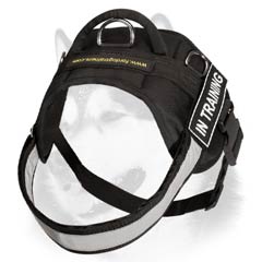 Siberian Husky nylon harness with reflective strap