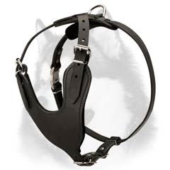 strong Siberian Husky leather harness