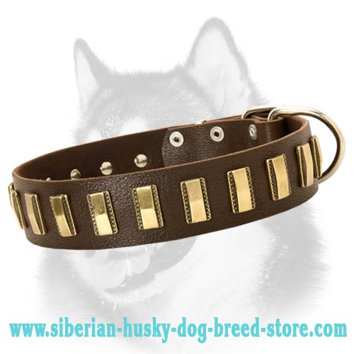 Gorgeous Wide Plated Leather Collar for Siberian Husky
