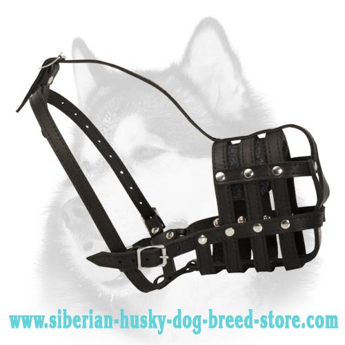 Buy Leather Basket Siberian Husky Muzzle