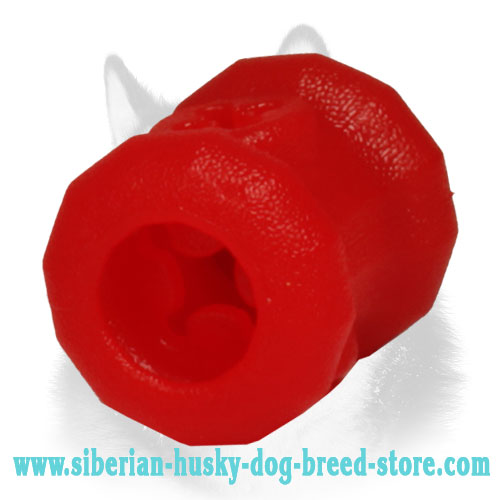 husky chew toys