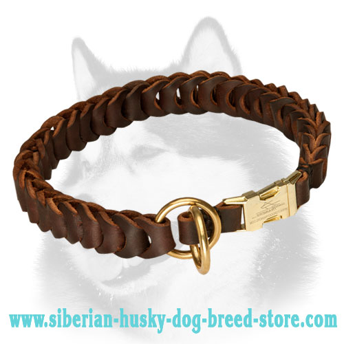 Awesome Leather Choke Collar for Siberian Husky with Extra Ordinary Braiding