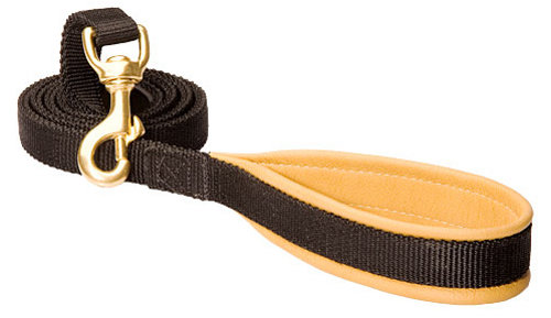 Stylish Nylon dog leash