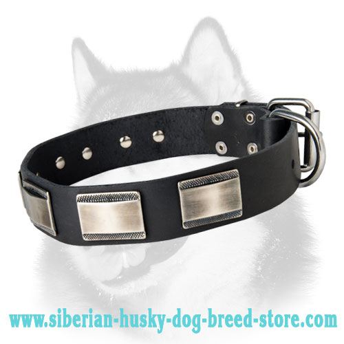 Designer Dog Collar for Siberian Husky-Leather Custom Collar