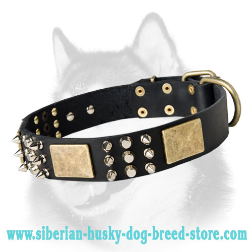 Designer Leather Dog Collar with Plates and Spikes for Siberian Husky