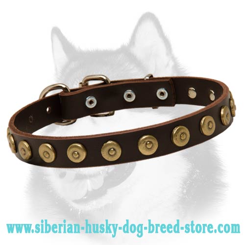 Superb Leather Siberian Husky Collar With Doted Circles
