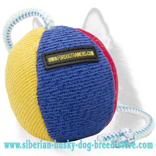35% OFF - LIMITED OFFER! Bright Dog Bite Ball for Siberian Husky Training