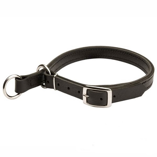 Adjustable Leather Slip Collar for Siberian Husky