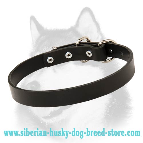 Leather Buckle Dog Collar for Siberian Husky