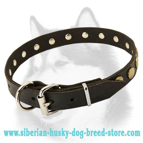Leather Dog Collar With Circles Adornment for Siberian Husky
