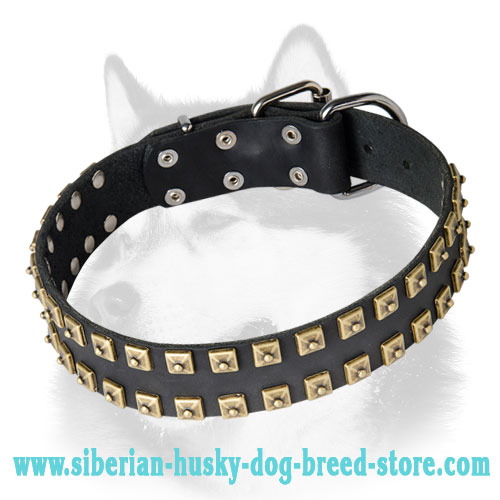 Designer “Caterpillar” Style Leather Dog Collar for Siberian Husky