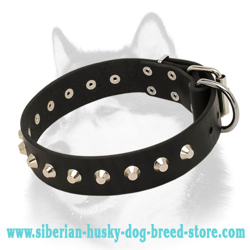 Designer Leather Dog Collar for Siberian Husky with Cones
